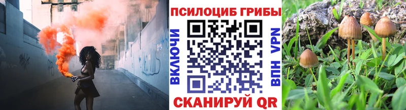 Псилоцибиновые грибы GOLDEN TEACHER  мориарти формула  Бирюсинск 